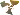 Development sessions