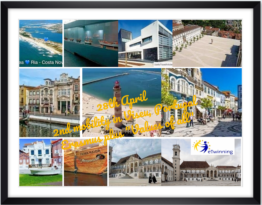 Immagine senza descrizione 14